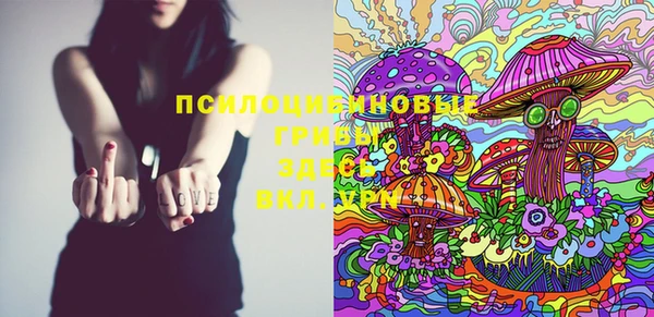 PSILOCYBIN Абаза