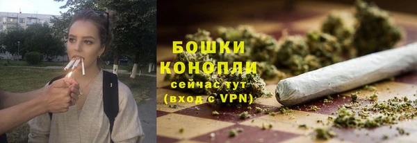 PSILOCYBIN Абаза