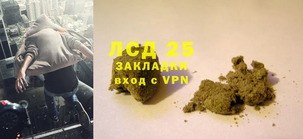 PSILOCYBIN Абаза