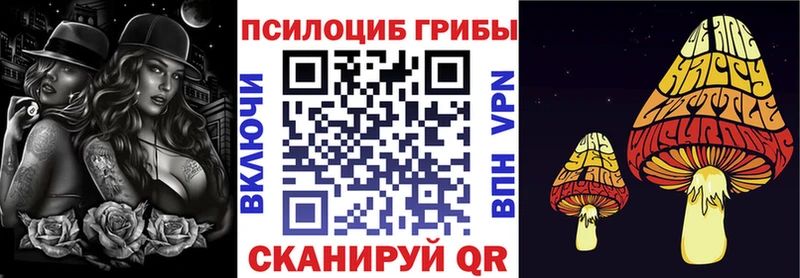 omg зеркало  Суздаль  Галлюциногенные грибы Psilocybine cubensis 